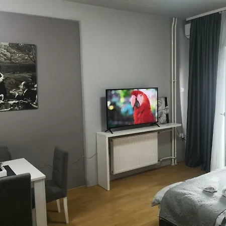 Contemporary Apartment Nis
